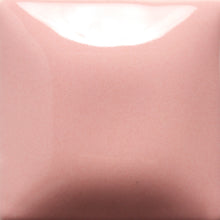 Load image into Gallery viewer, Stroke and Coat SC-1 to SC-50