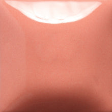 Load image into Gallery viewer, Stroke and Coat SC-1 to SC-50