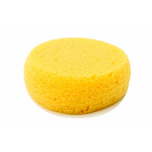 Small Round Sponge